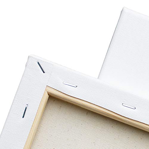FIXSMITH Stretched White Blank Canvas - 11x14 Inch, 8 Pack, Primed...