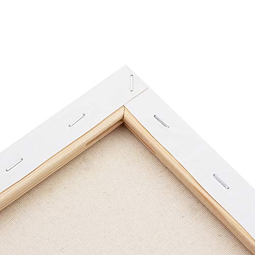 FIXSMITH Stretched White Blank Canvas- 8x10 Inch,Bulk Pack of 12,P...