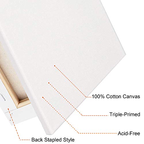 FIXSMITH Stretched White Blank Canvas- 8x10 Inch,Bulk Pack of 12,P...