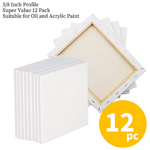 FIXSMITH Stretched White Blank Canvas- 8x10 Inch,Bulk Pack of 12,P...