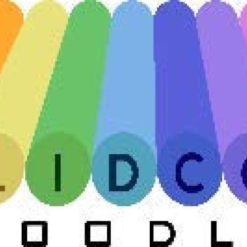 4 Pack Solid Core Noodle Flex Connex Famous Foam Swim Noodles 5 Fo...