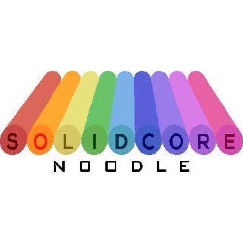 4 Pack Solid Core Noodle Flex Connex Famous Foam Swim Noodles 5 Fo...