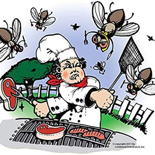 Flies Be Gone Fly Trap - Disposable Non Toxic Fly Catcher - Made i...