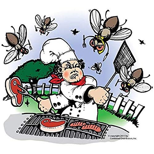 Flies Be Gone Fly Trap - Disposable Non Toxic Fly Catcher - Made i...