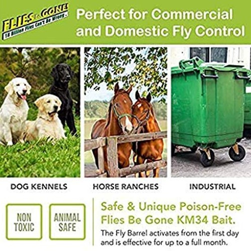 Flies Be Gone Fly Trap - Disposable Non Toxic Fly Catcher - Made i...