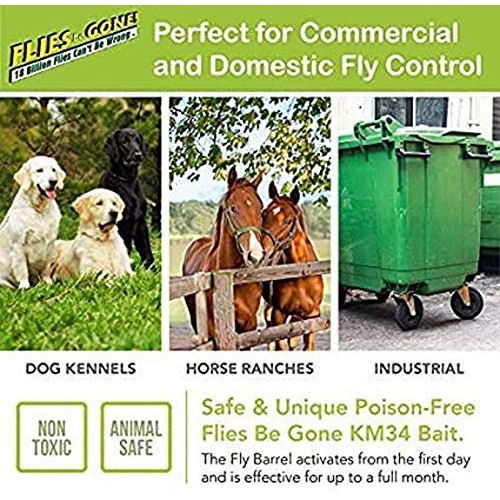 Flies Be Gone Fly Trap - Disposable Non Toxic Fly Catcher - Made i...