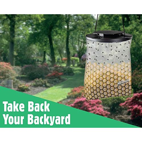 Flies Be Gone Fly Trap - Disposable Non Toxic Fly Catcher - Made i...