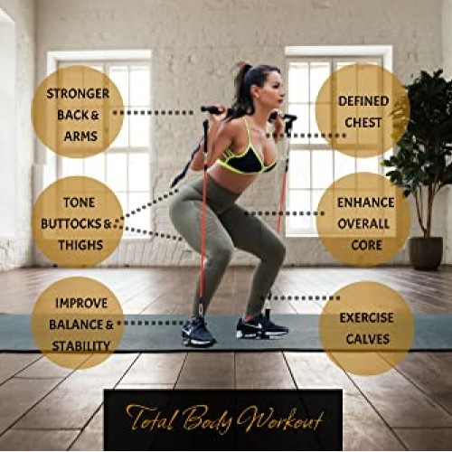 Fluxur Wellness Upgraded Pilates Bar with 4 Resistance Bands, Door...