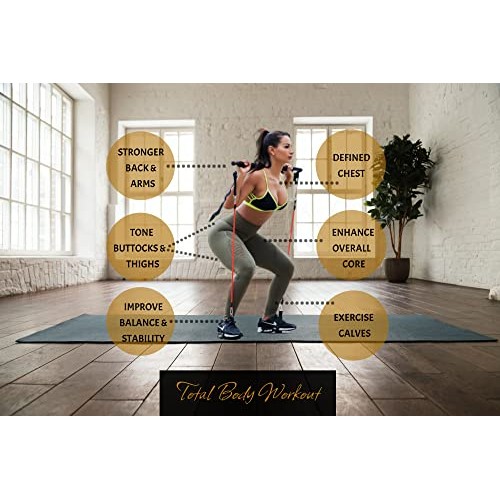 Fluxur Wellness Upgraded Pilates Bar with 4 Resistance Bands, Door...