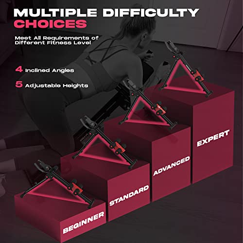 FLYBIRD Ab Workout Equipment, Adjustable Ab Machine Full Body Work...