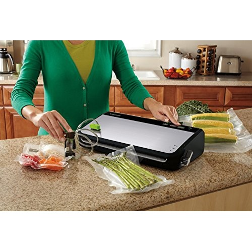 FoodSaver FM2435 Vacuum Sealer Machine with Bonus Handheld Sealer ...