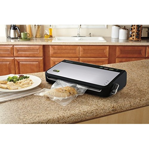 FoodSaver FM2435 Vacuum Sealer Machine with Bonus Handheld Sealer ...