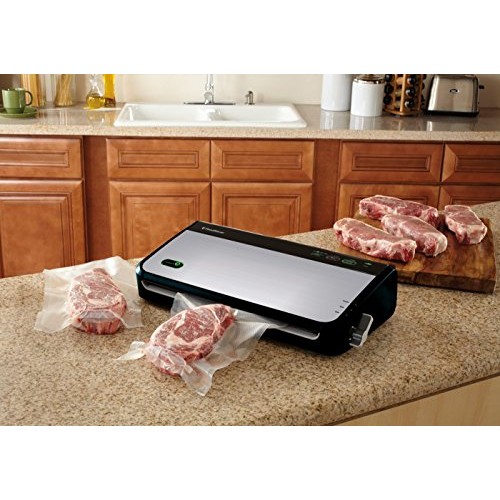FoodSaver FM2435 Vacuum Sealer Machine with Bonus Handheld Sealer ...