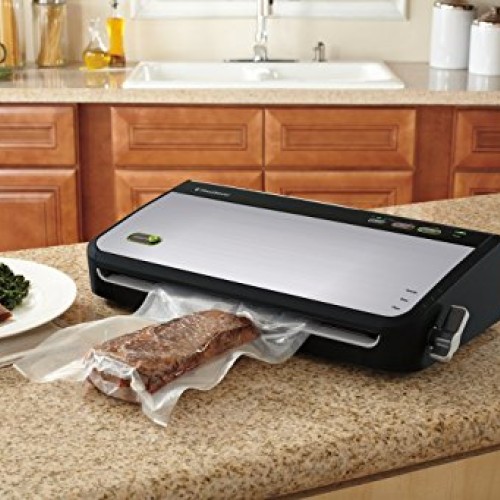 FoodSaver FM2435 Vacuum Sealer Machine with Bonus Handheld Sealer ...