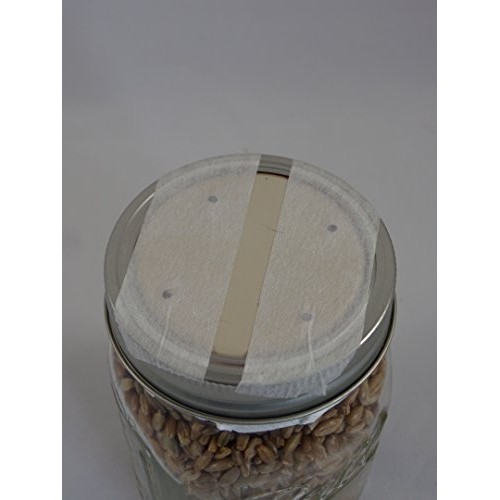 Forest Organics 1 Rye Grain Mushroom Substrate Jar Pre-Sterilized ...