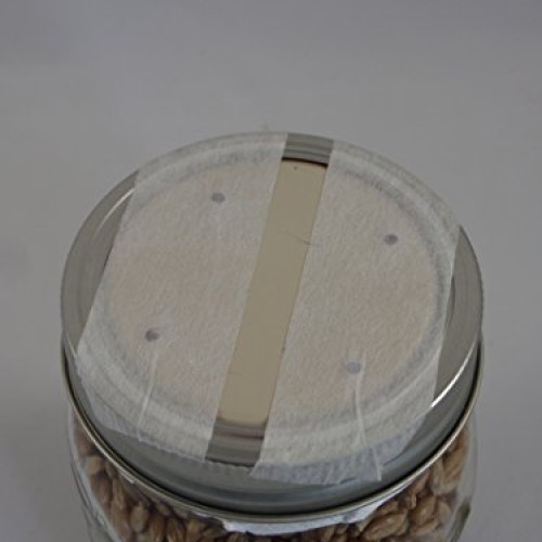Forest Organics 1 Rye Grain Mushroom Substrate Jar Pre-Sterilized ...