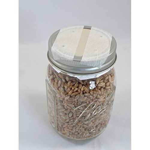 Forest Organics 1 Rye Grain Mushroom Substrate Jar Pre-Sterilized ...