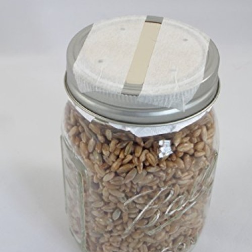 Forest Organics 1 Rye Grain Mushroom Substrate Jar Pre-Sterilized ...
