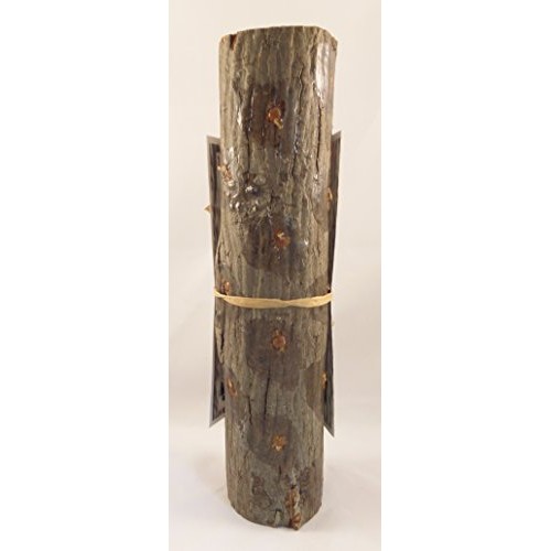 Forest Organics Shiitake Mushroom Growing Log Pre-Inoculated