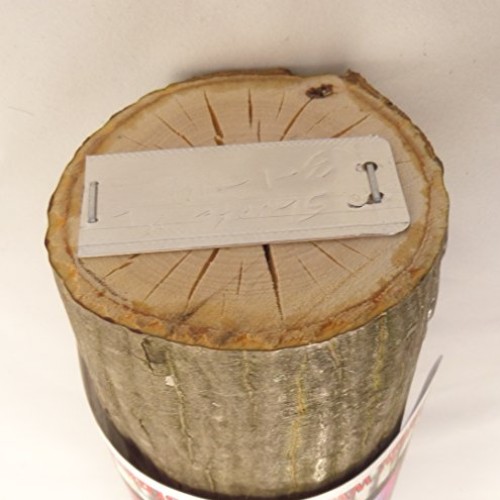 Forest Organics Shiitake Mushroom Growing Log Pre-Inoculated