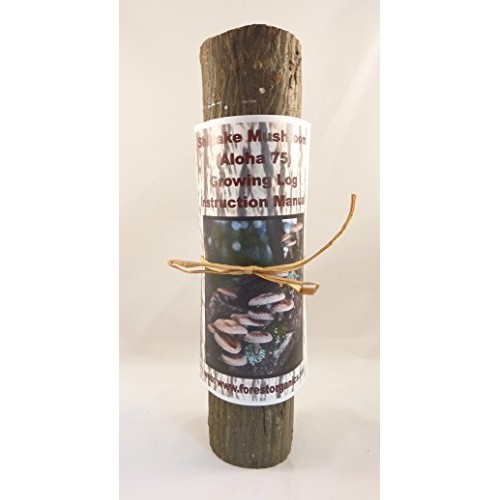 Forest Organics Shiitake Mushroom Growing Log Pre-Inoculated