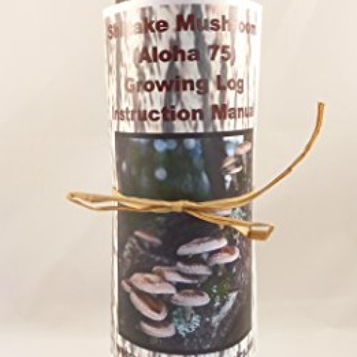Forest Organics Shiitake Mushroom Growing Log Pre-Inoculated