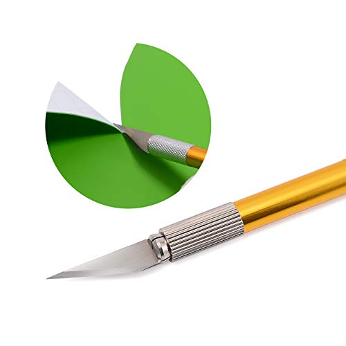 FOSHIO Pin Pen Vinyl Weeding Tool 2 in 1 Art Knife Pen, Sharp Craf...