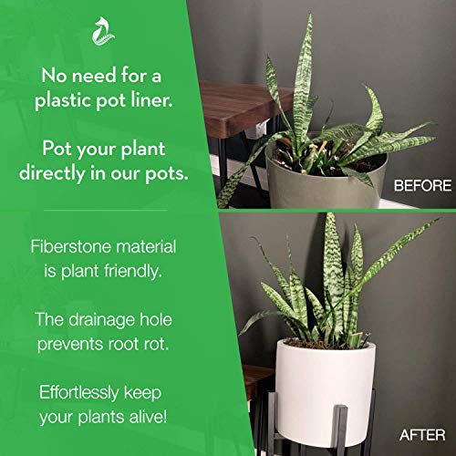 12 Large Plant Pot by Fox & Fern - Fits Plant Stand - Drainage Pl...