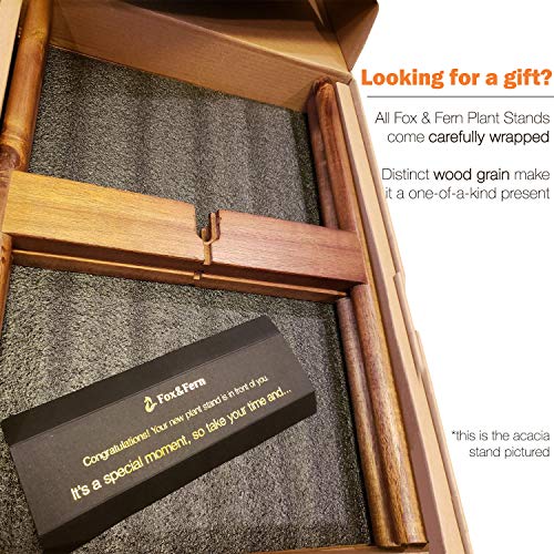 Fox & Fern Indoor Plant Stand Acacia - EXCLUDING 8 White Ceramic ...