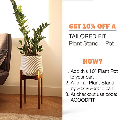 Fox & Fern Tall Plant Stand Acacia - EXCLUDING 10 White Ceramic P...