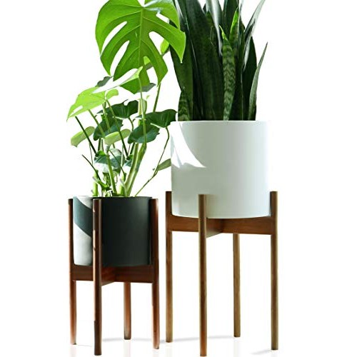 Fox & Fern Tall Plant Stand Acacia - EXCLUDING 10 White Ceramic P...