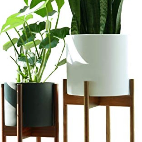 Fox & Fern Tall Plant Stand Acacia - EXCLUDING 10 White Ceramic P...