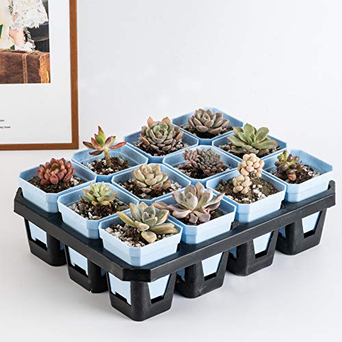 Foxany 3 Plants Nursery Pot, 30 Pcs Thick Plastic Square Flower P...