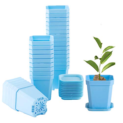 Foxany 3 Plants Nursery Pot, 30 Pcs Thick Plastic Square Flower P...