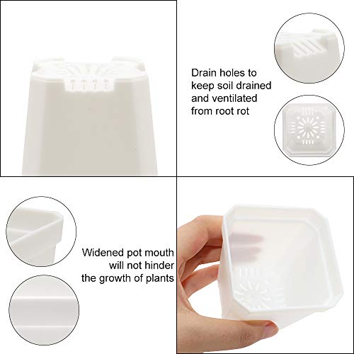 Foxany 30 Pcs 3 Plants Nursery Pot, Thick Plastic Square Flower P...
