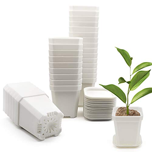 Foxany 30 Pcs 3 Plants Nursery Pot, Thick Plastic Square Flower P...