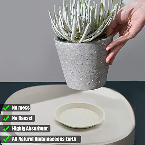 foxany 4 inch Plant Saucers 12Pcs, Durable Plastic White Plant Dri...