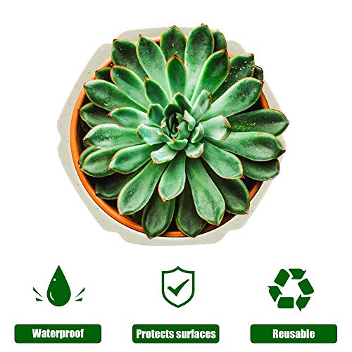 foxany 4 inch Plant Saucers 12Pcs, Durable Plastic White Plant Dri...