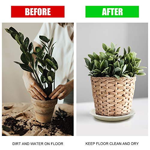 foxany 4 inch Plant Saucers 12Pcs, Durable Plastic White Plant Dri...