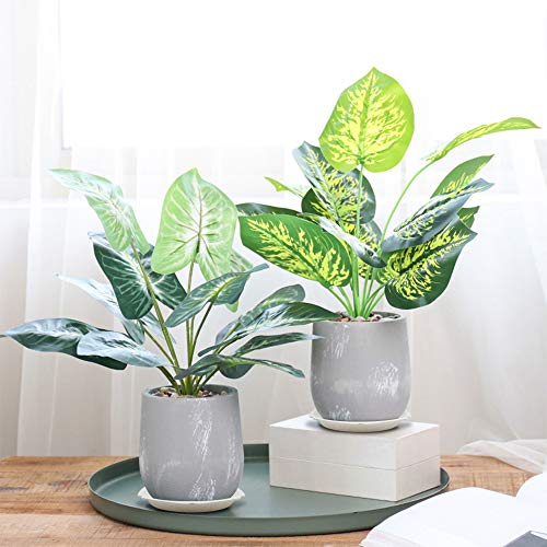 foxany 4 inch Plant Saucers 12Pcs, Durable Plastic White Plant Dri...