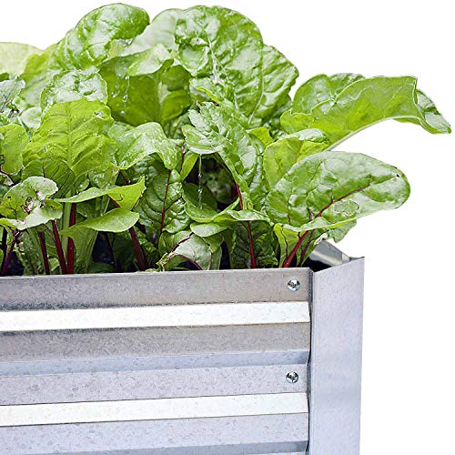 FOYUEE Galvanized Raised Garden Beds for Vegetables Large Metal Pl...