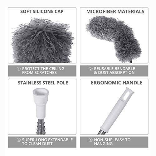 Webster Cobweb Duster, Feather Duster for Home, Extendable Dusters...