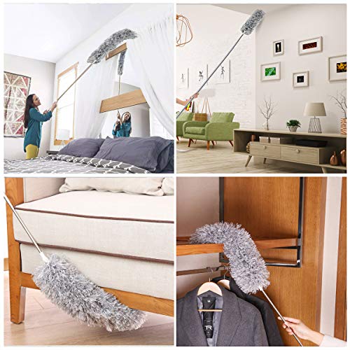 Webster Cobweb Duster, Feather Duster for Home, Extendable Dusters...