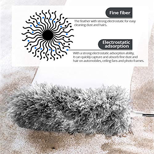 Webster Cobweb Duster, Feather Duster for Home, Extendable Dusters...