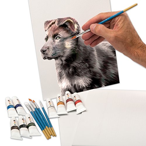 Acrylic Paint Set -12 Acrylic Paints, 6 Paint Brushes for Acrylic ...
