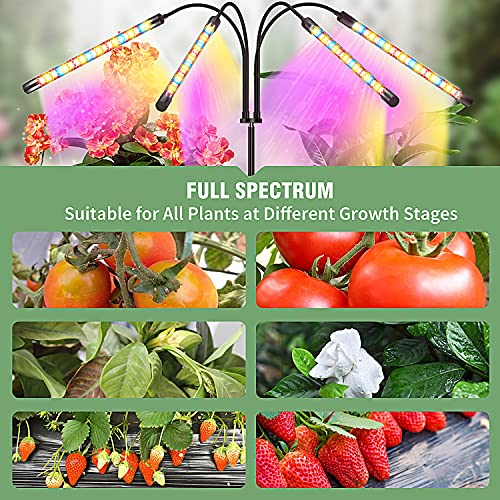Grow Light with Stand, FRENAN Grow Lights for Indoor Plant with Re...