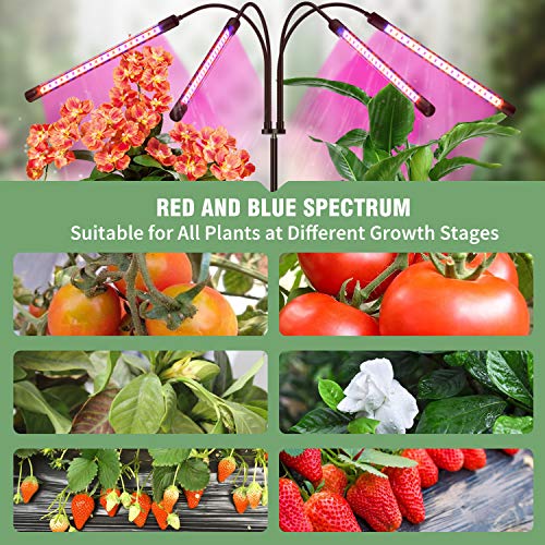 Grow Light with Stand, FRENAN Grow Lights for Indoor Plants with R...