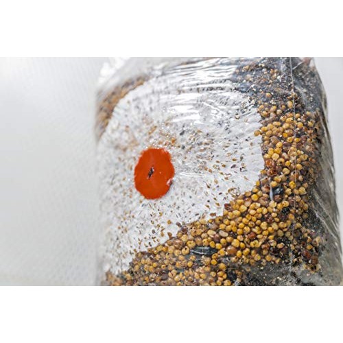 The All-in-One Coir Cultivator Growth Substrate - Sterilized Spawn...