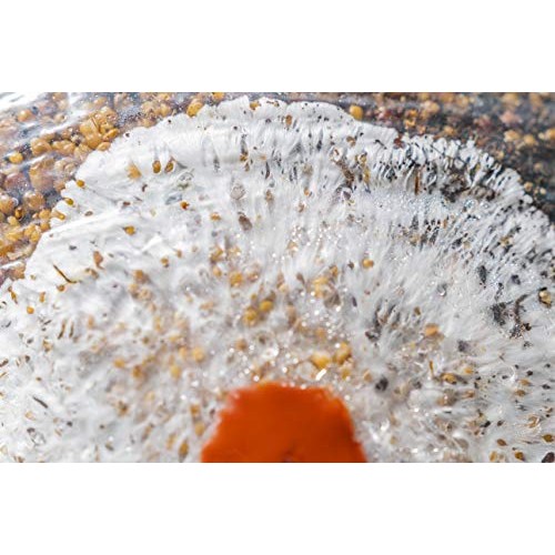 The All-in-One Coir Cultivator Growth Substrate - Sterilized Spawn...
