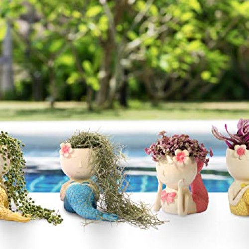 FROZZUR 1PC Beauty Flower Pot of Fish Shape, Face Mermaid Flower P...